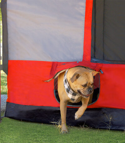 Camping Cube 3x3m Rood voor Vantage en Eclipse party tenten met opening voor hond
